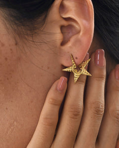 Tinted Star Statement Ear Studs - Theloomart